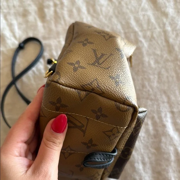 Louis Vuitton Palm Springs mini backpack - Picture 4 of 6